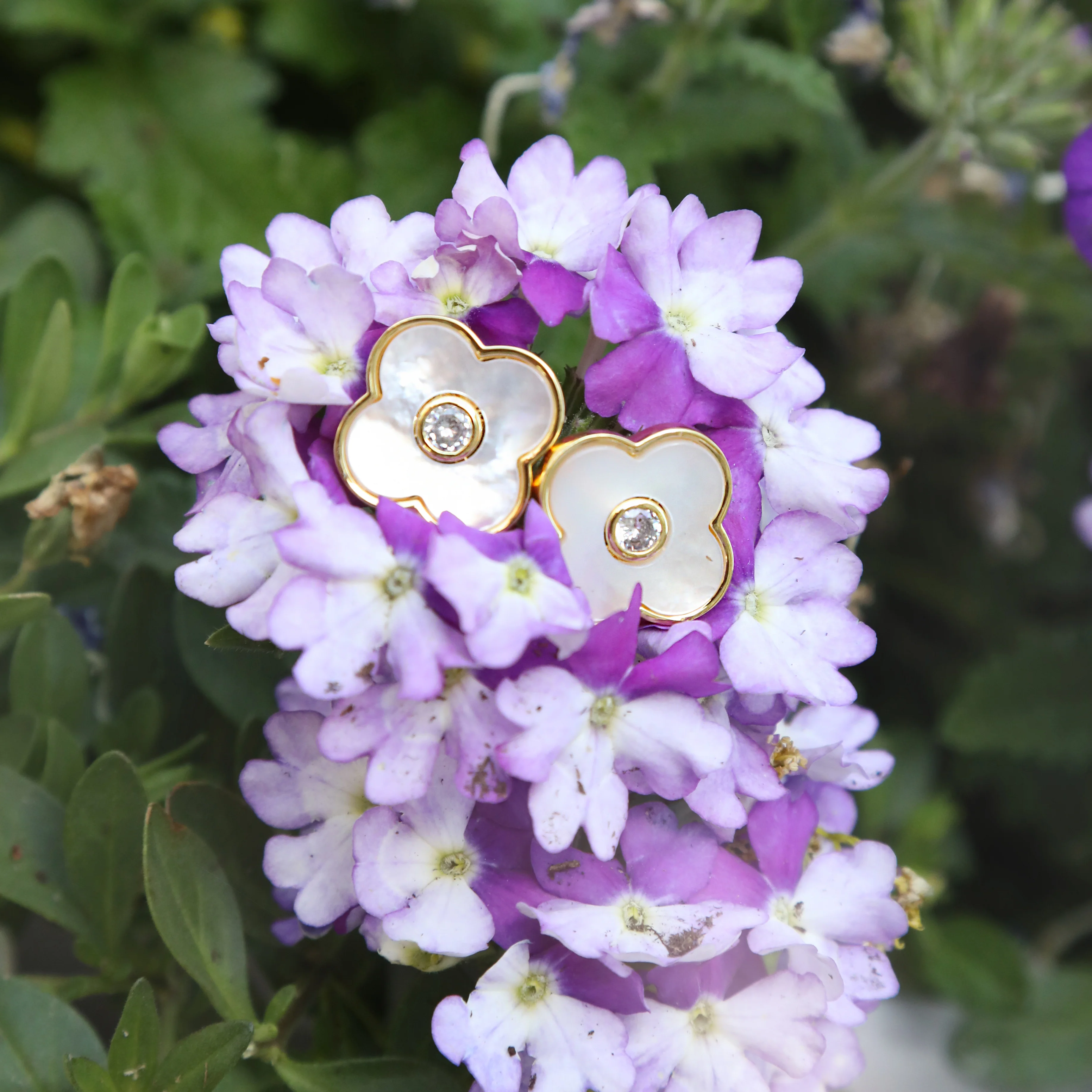 Angelina Stud - Image 3