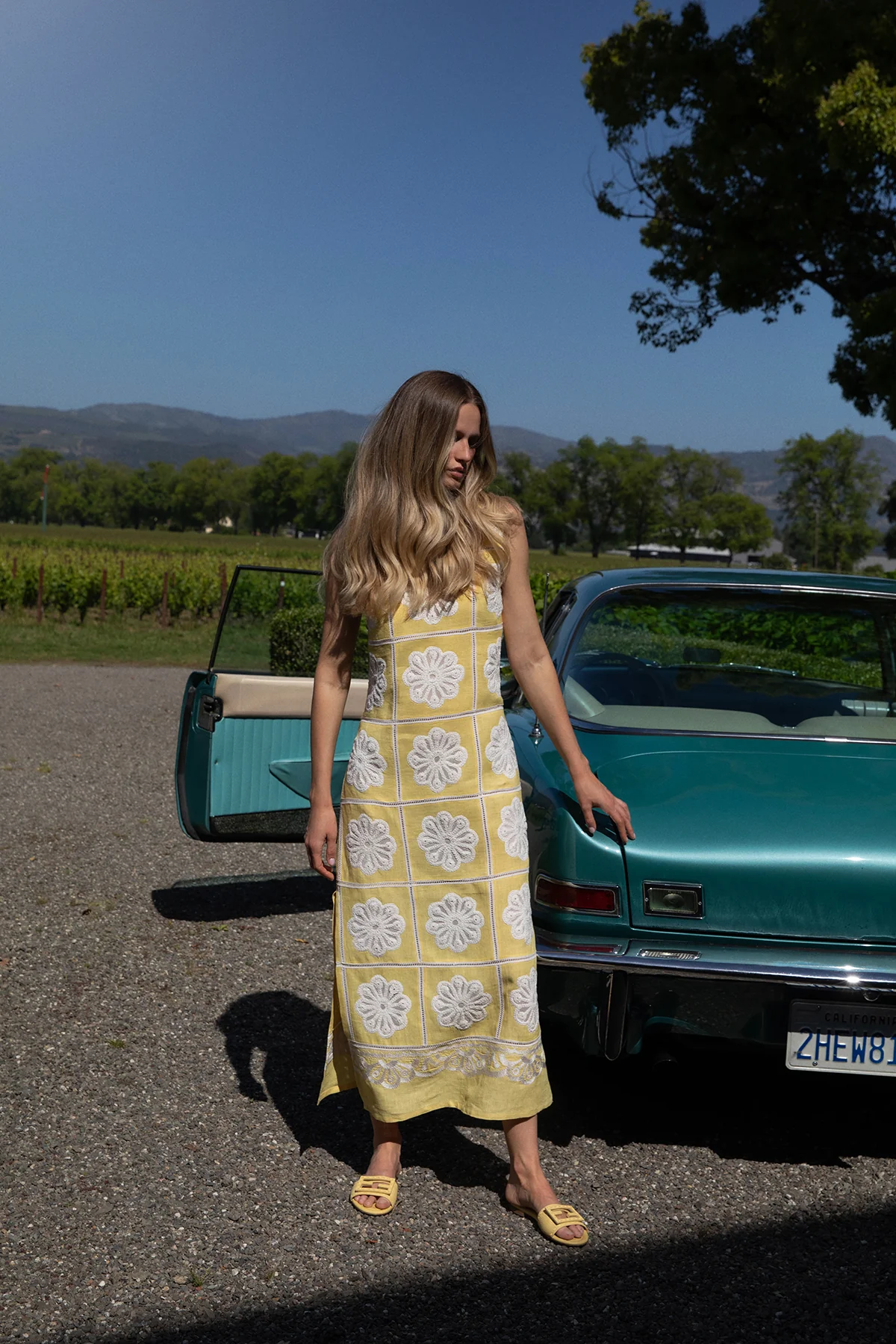 Dandelion Ava Maxi Dress - Image 3