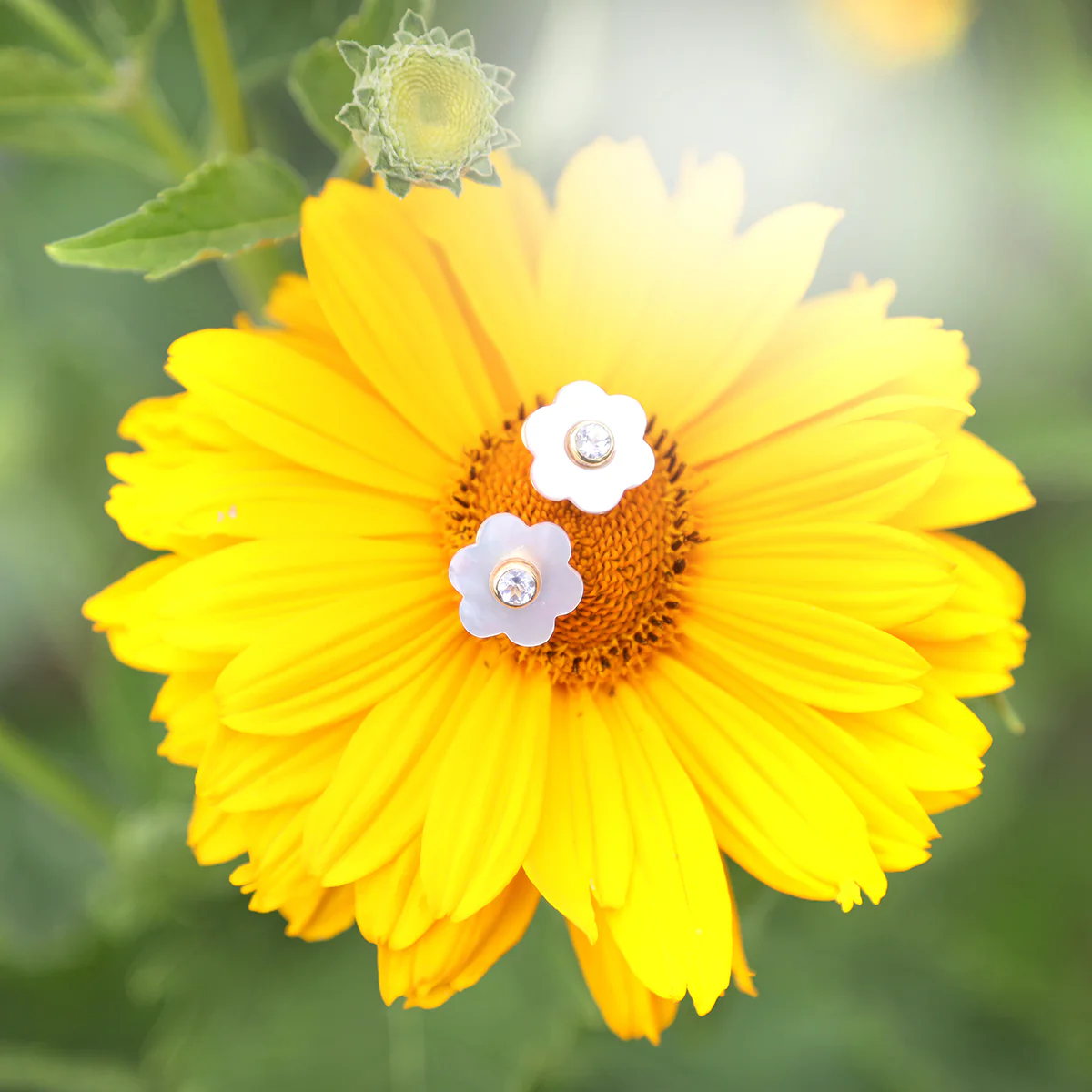 Garden Stud - Image 3